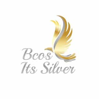 BCOS Its Silver logo