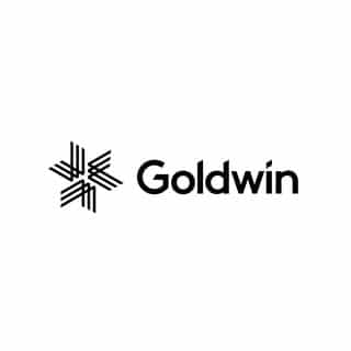 Goldwin Europe logo