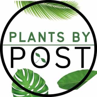 Plants By Post logo