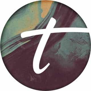 Twelve-Inch logo