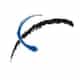 Interra USA logo
