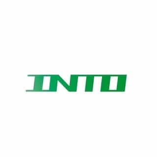 Into Archive logo
