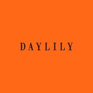 DAYLILY GLOBAL logo