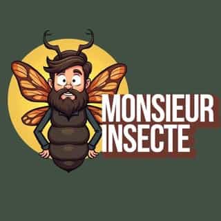 Monsieur Insecte logo