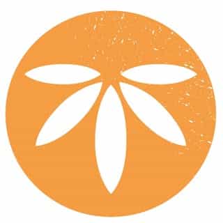 HANS Brainfood logo