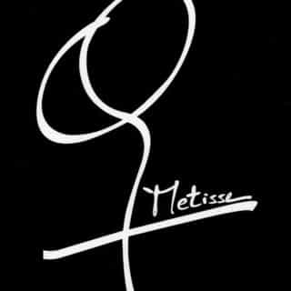 Metisse Official logo