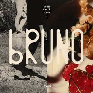 Bruno logo