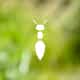 Atelier Nature & Territoires logo