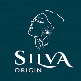 SILVA ORIGIN logo
