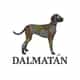 Dalmatán logo