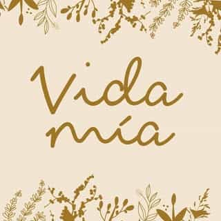 Vida Mía logo