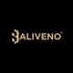 BALIVENO FASHION HOUSE LTD logo