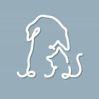 Tilting Heads logo