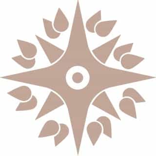 Lebenskompass logo