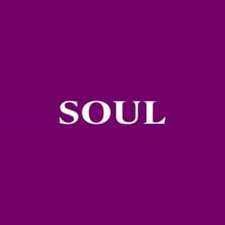 Soul Gallery SA logo