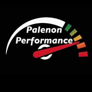 Palenon Performance logo