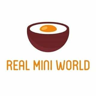 Real Mini World logo