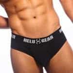 Helux Gear logo
