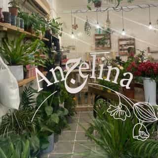 Angelina logo