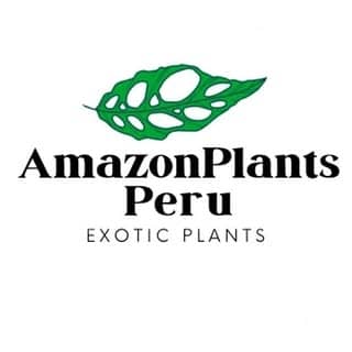 Amazon Plants Peru logo