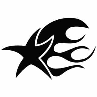 PolarStar logo