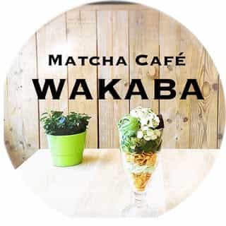 Matcha-WAKABA logo