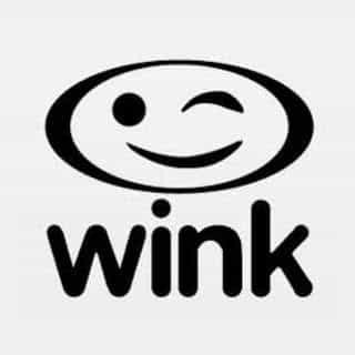 Wink Motors Inc. logo