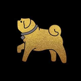 Kinky Mascotas logo