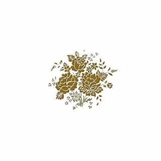 Varun Bahl logo