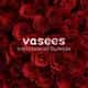 vasees logo