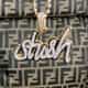 Stush Fashionista logo