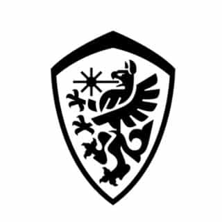 DOWINX GAMING CHAIR logo