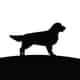 Rascal Wine logo