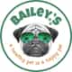 Bailey's CBD logo