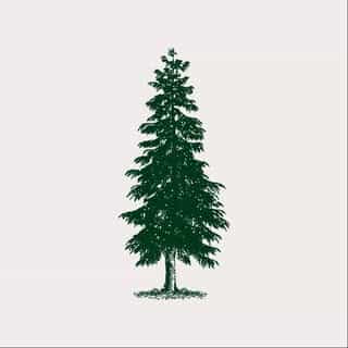 The Old Yew Plant Shop logo