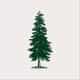 The Old Yew Plant Shop logo