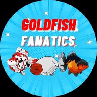 Goldfish Fanatics logo
