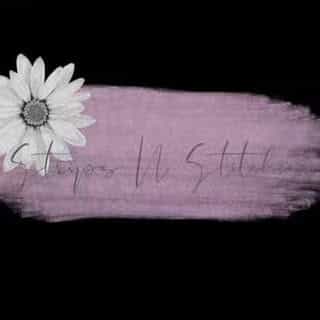 Strips N Stitches logo
