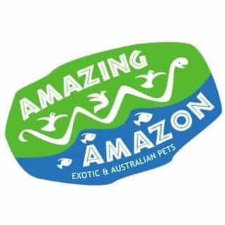 Amazing Amazon logo