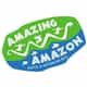 Amazing Amazon logo