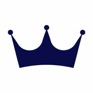The Primo logo