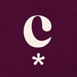 Camaleonte.Co logo