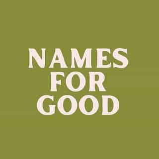 Names For Good logo