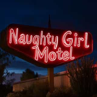 Naughty Girl Shop logo
