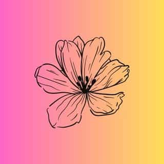 Beach Rose Co. logo
