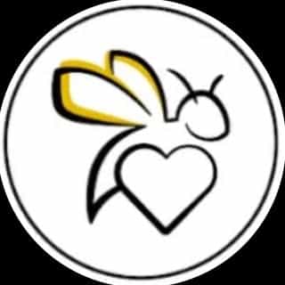 VapoWesp logo