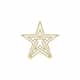 Fabrics Star logo
