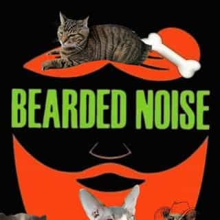 Bearded Noise logo