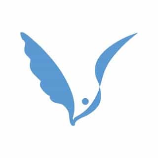 Vinguys logo