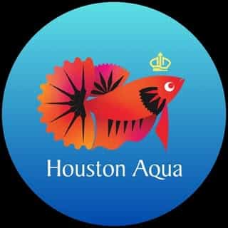 Houston Aqua logo